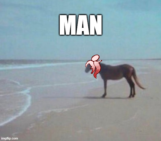 ꗃCyano Cirb Nightingale ♦️🐦 Happy 2 years! tweet media