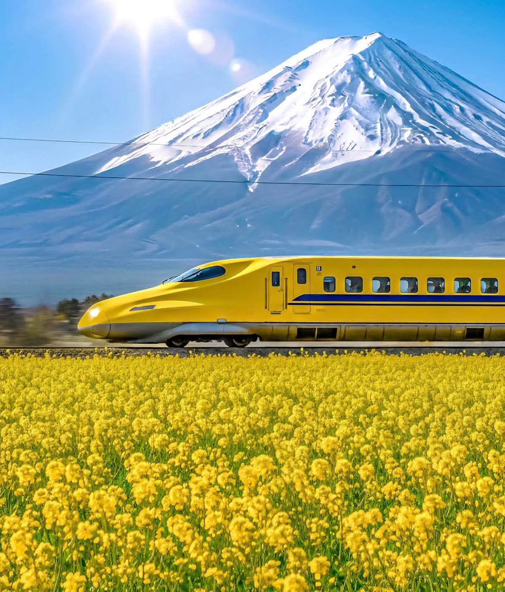 NatureRoot88's tweet photo. Japan 🇯🇵 https://t.co/HEzbsaJrYj