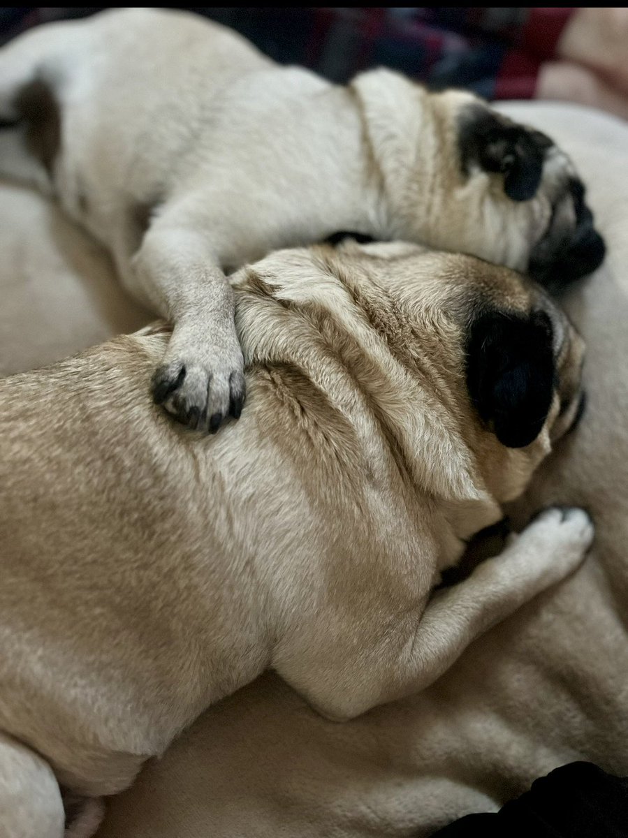 lesley sutcliffe tweet media