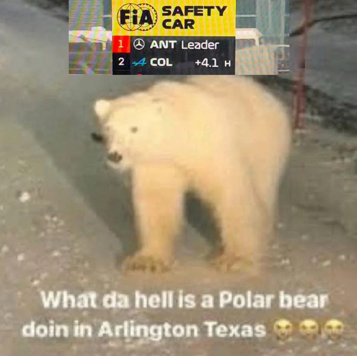 F1 TROLL tweet media