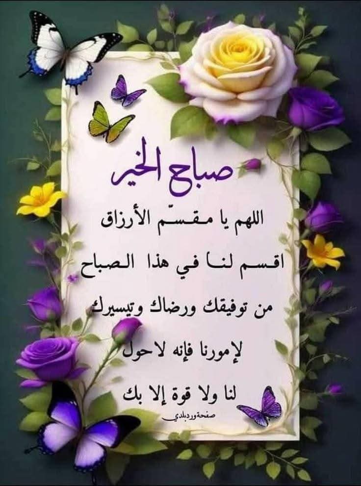 ShlyqAbw's tweet photo. https://t.co/43XRjJXQak