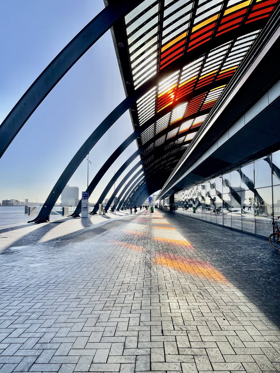 Rob Hoeijmakers tweet media