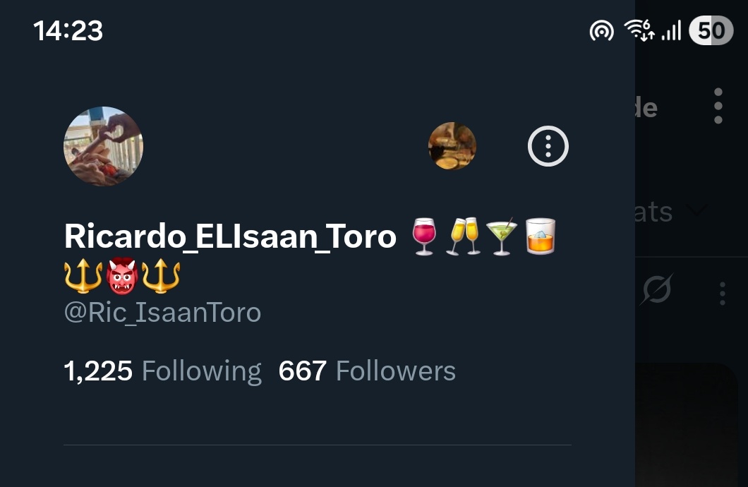 Ricardo_ELIsaan_Toro 🍷🥂🍸🥃🔱👹🔱 tweet media