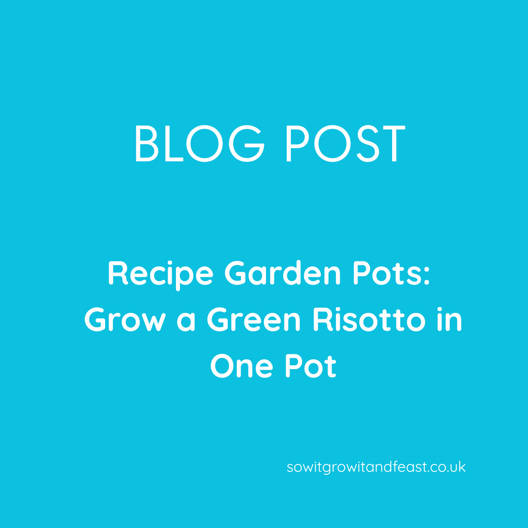 SowGrowFeast's tweet image. Crops In Pots 🌿
sowitgrowitandfeast.co.uk/green-risotto-…
#growyourown #growyourownfood #honestfood #cropsinpots #gardenplanters #sustainableliving #gardenprojects #risotto #veggies #growveggies #vegetablegrowing