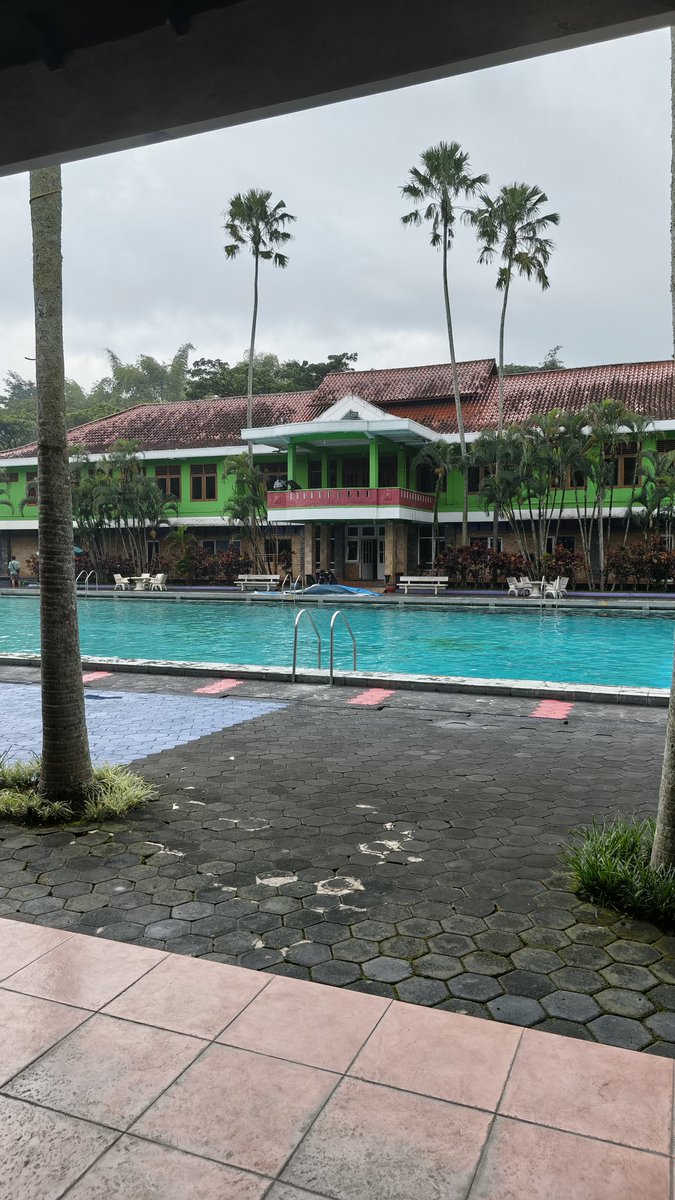 Orion✨ tweet media