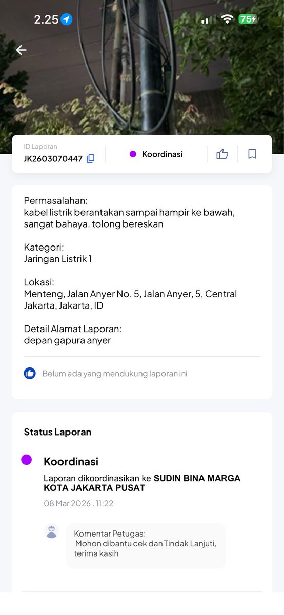 dumpling tweet media