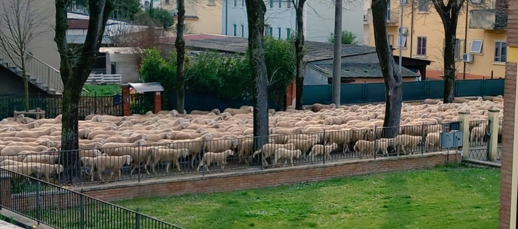 Ilaria Loi tweet media