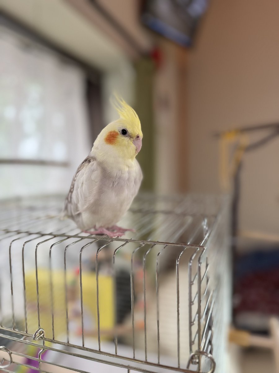 すずきすずぞう tweet media