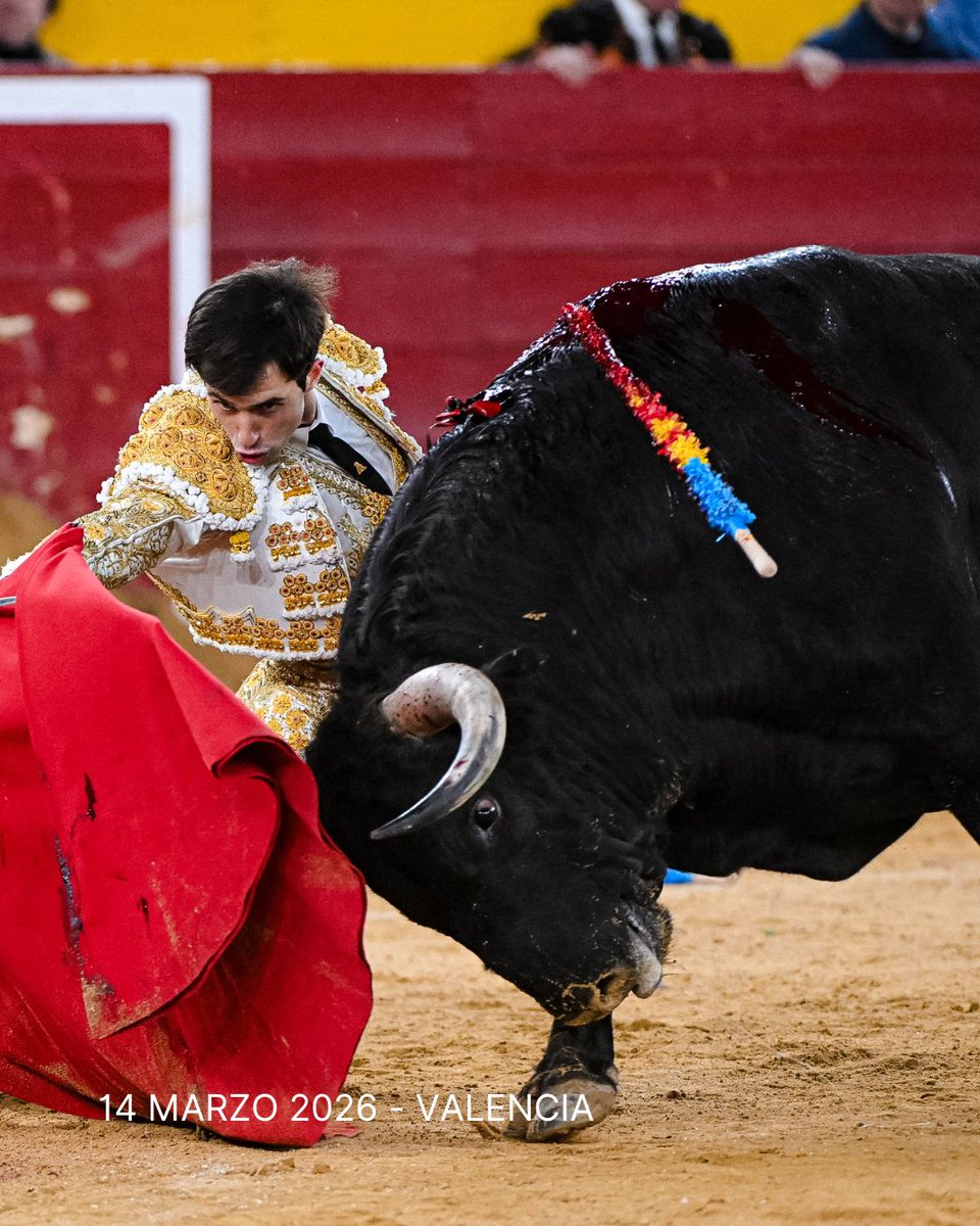 Servitoro tweet media