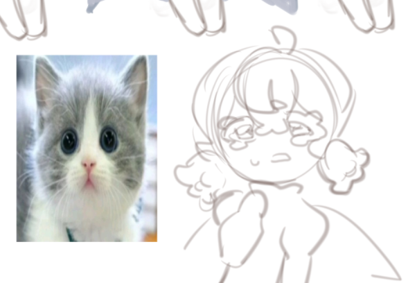 🍪 (@powwparia) on Twitter photo 