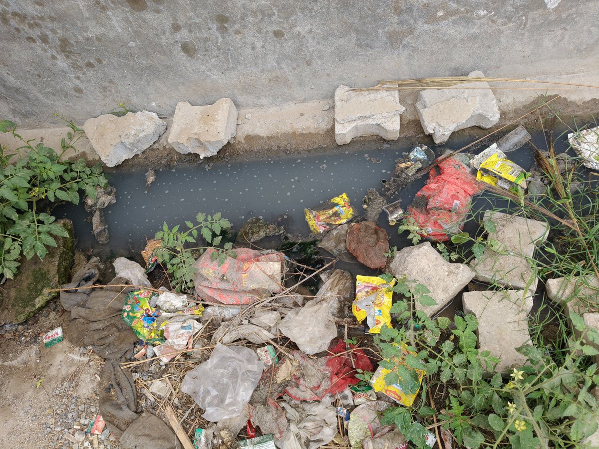 The Indian tweet media