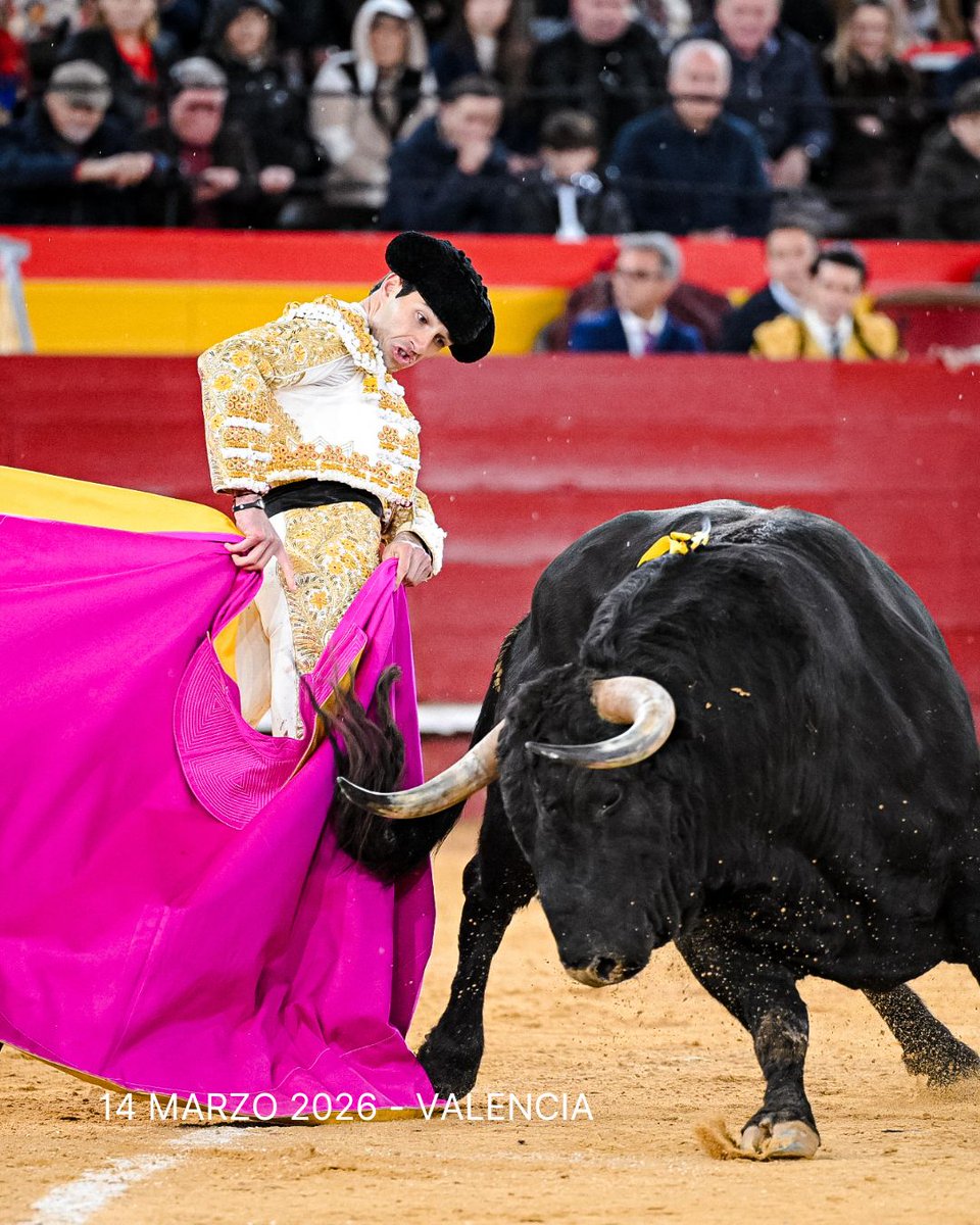 Servitoro tweet media