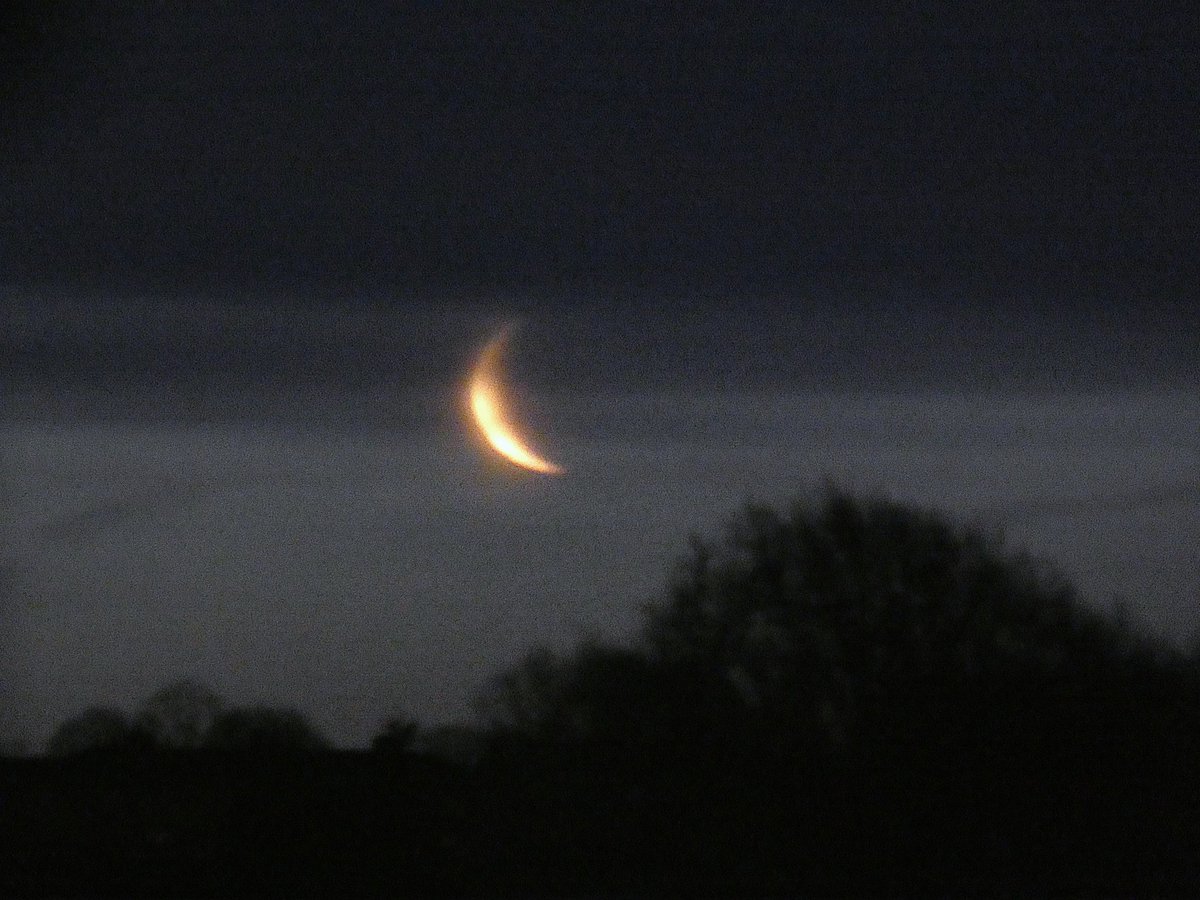 Peter Lewis tweet media