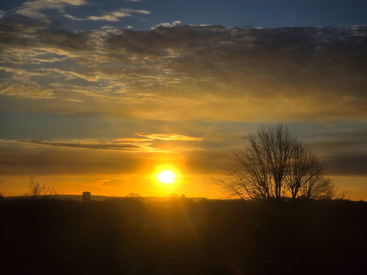 Peter Lewis tweet media