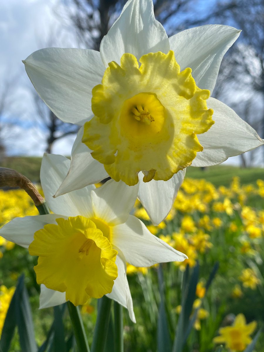 Michelle Clarke tweet media