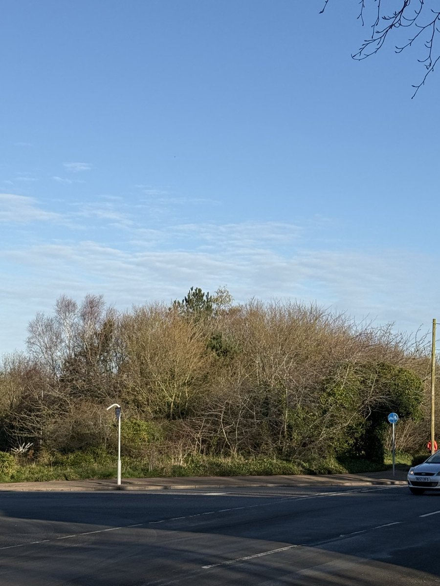 Paul Wells tweet media