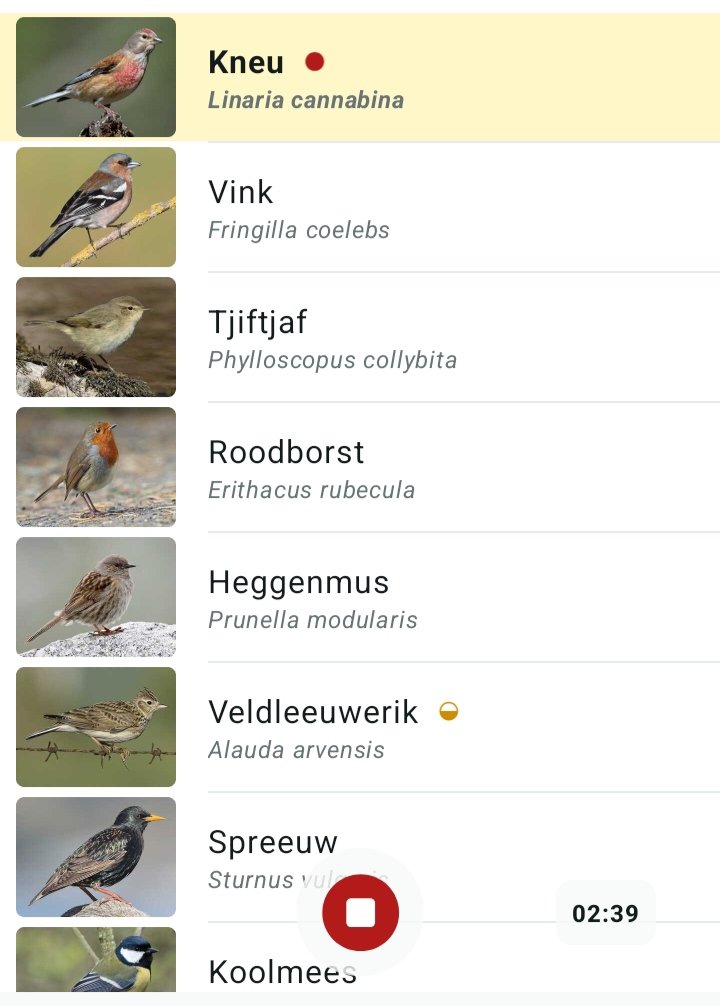 Emsland73's tweet photo. Tijdens rondje met het hondje mooie vogels gehoord.... #oppas, #uitlaatservice🤭🙃 #hond #koud #vorst https://t.co/xs67Znvt3N