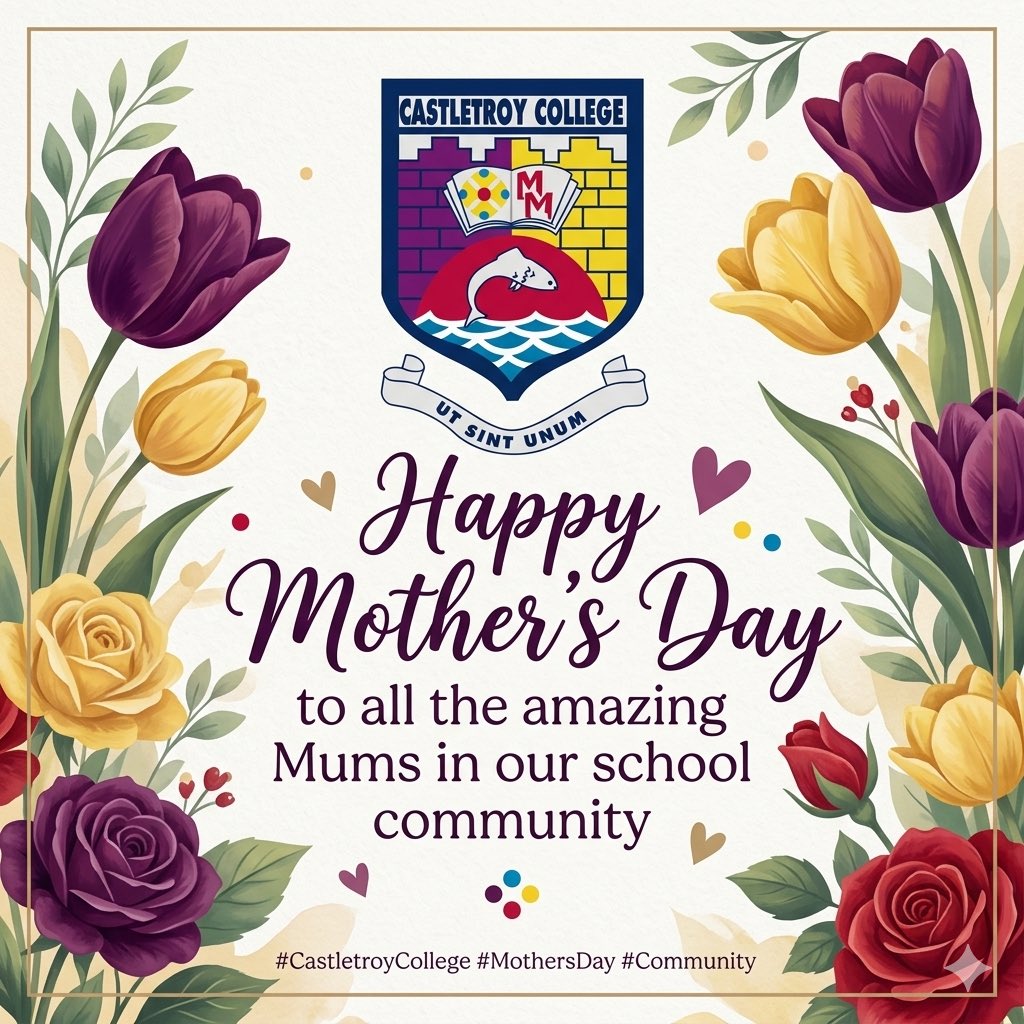 Castletroy College tweet media