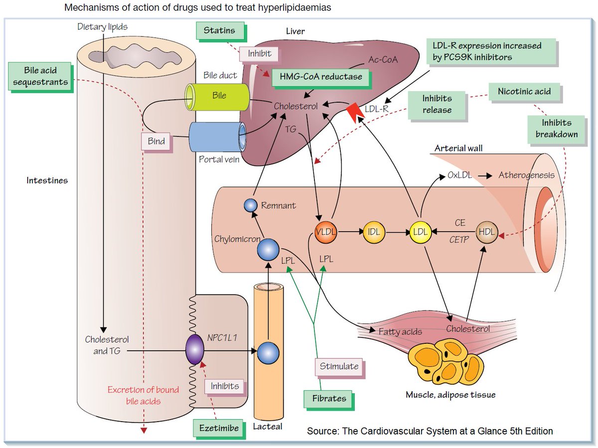 Manual Of Medicine tweet media