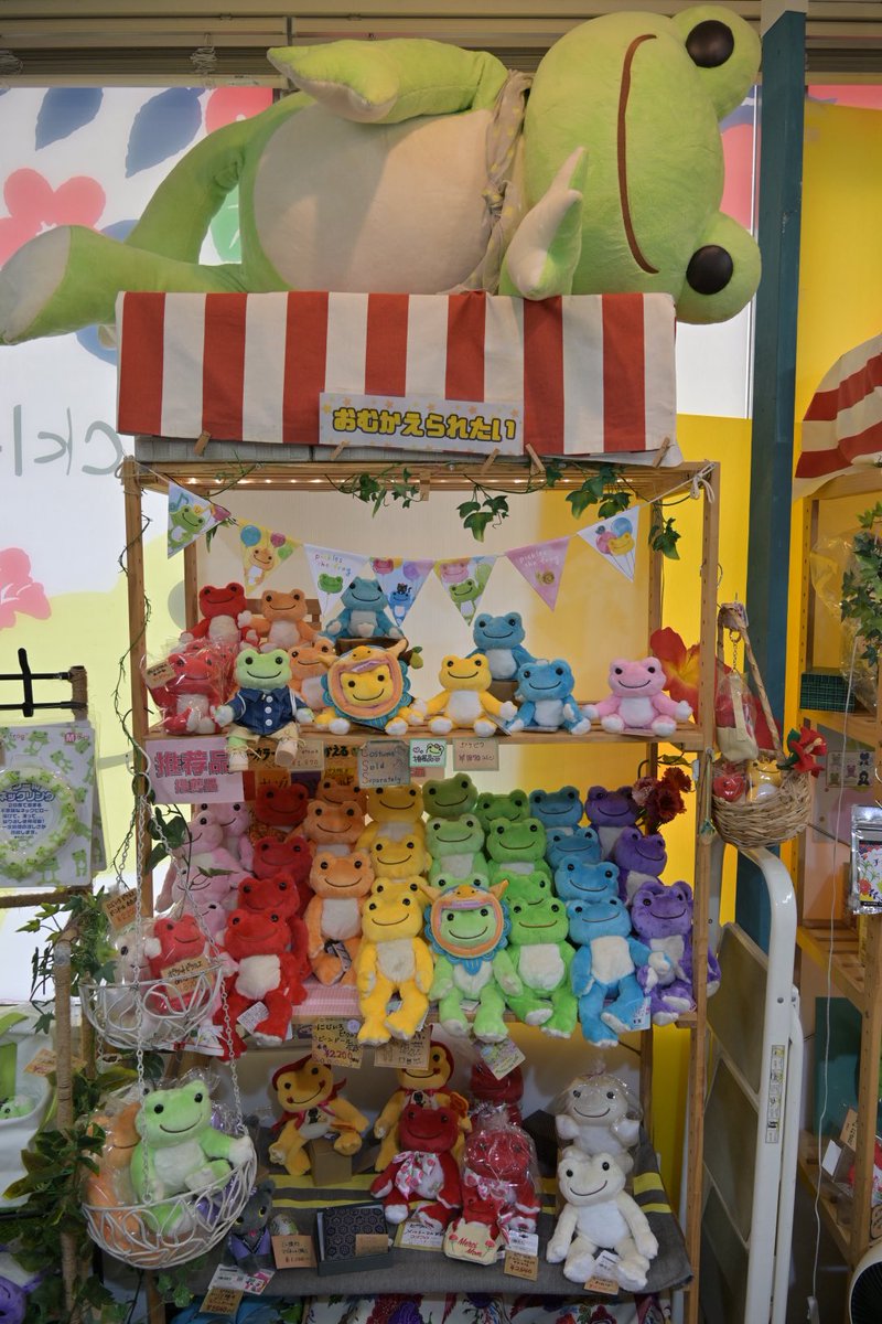 りらぴく tweet media