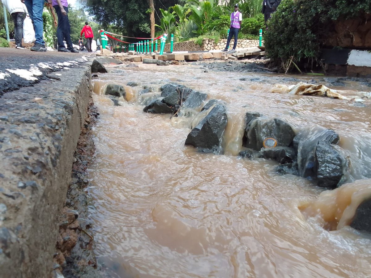 The African Voice tweet media