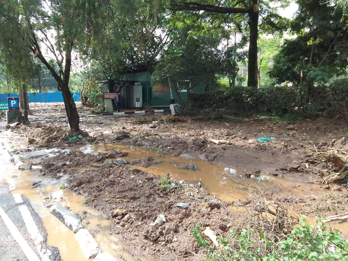 The African Voice tweet media