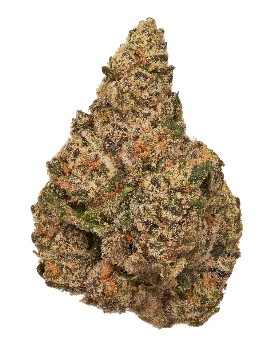 Cportmerch's tweet photo. https://t.co/pSMoV3QeKm
Adult Use Only 21+ ⚠️ 
GAS FACE (INDOOR) THC-A Flower
#GASFACE (INDOOR) #THCAFlower – Unleash intensity with Gas Face, a premium #indica-dominant hybrid known for its explosive flavor, potent effects, and commanding terpene profile. 
Crafted from a powerhouse lineage of Face Mints crossed with Biscotti and Sherb, this cultivar delivers a top-shelf smoking experience for seasoned connoisseurs.

From first spark, Gas Face (INDOOR) THC-A Flower hits the senses with sharp, savory complexity—layering spicy diesel, citrus zest, fresh mint, and herbal nuttiness over a base of skunky gas and sweet fruit. 
The inhale is bold and peppery; the exhale, smooth and earthy with a surprisingly creamy finish.