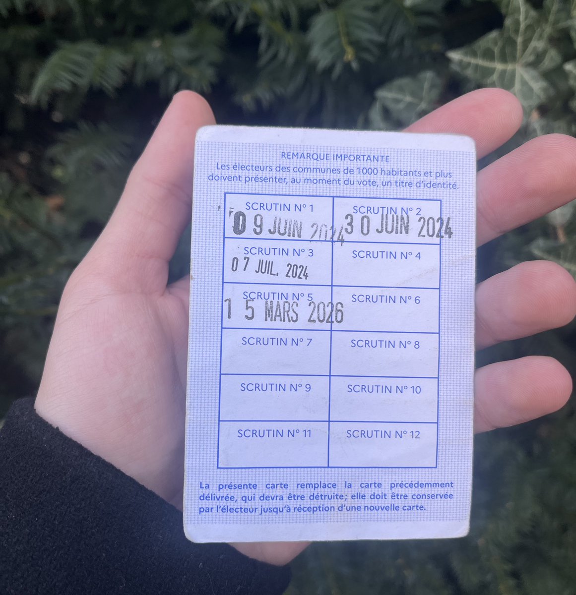 Ilan Gabet tweet media