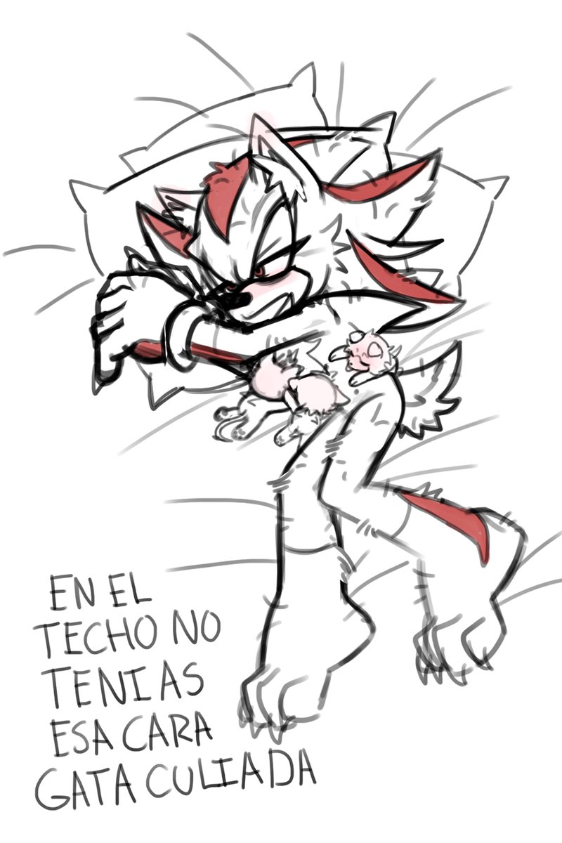 Kitzunn7's tweet photo. Pero bien que queria pelear en los techos https://t.co/NIqFEV8yTK