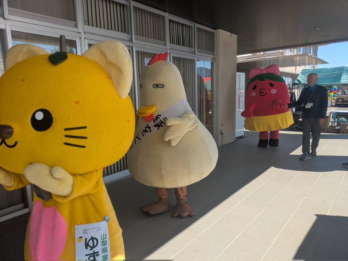 やはたいぬ tweet media