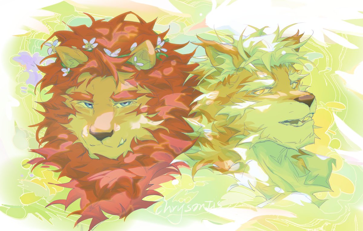 有机废 tweet media