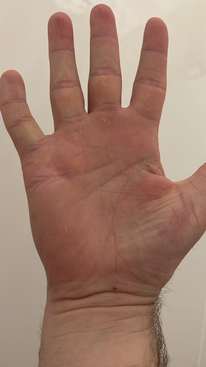 Patrious the Fallen Knight tweet media