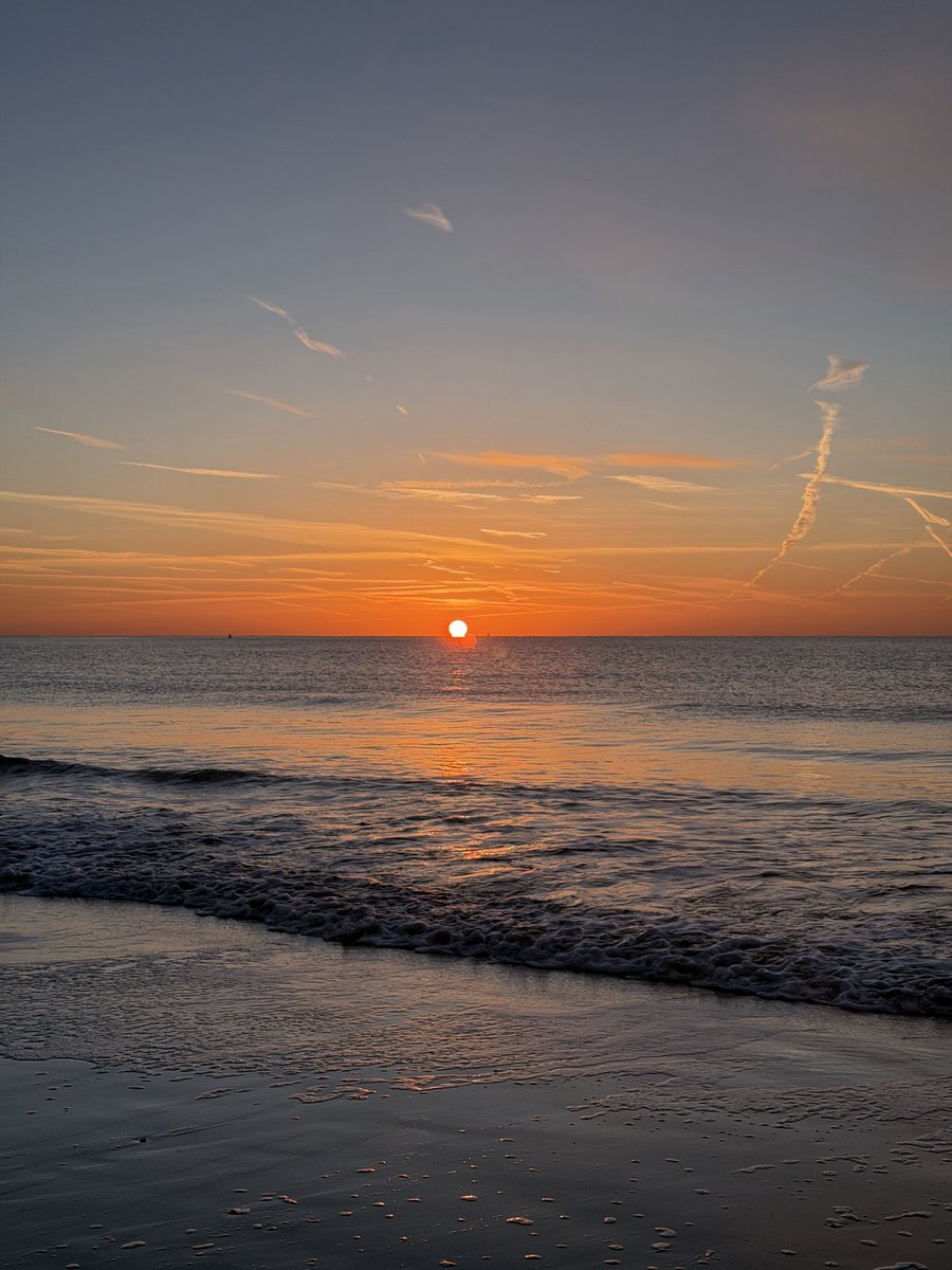 Kelly 👱🏻‍♀️🌊🔆 tweet media