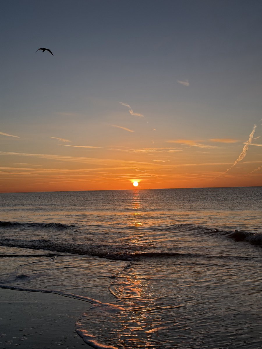 Kelly 👱🏻‍♀️🌊🔆 tweet media