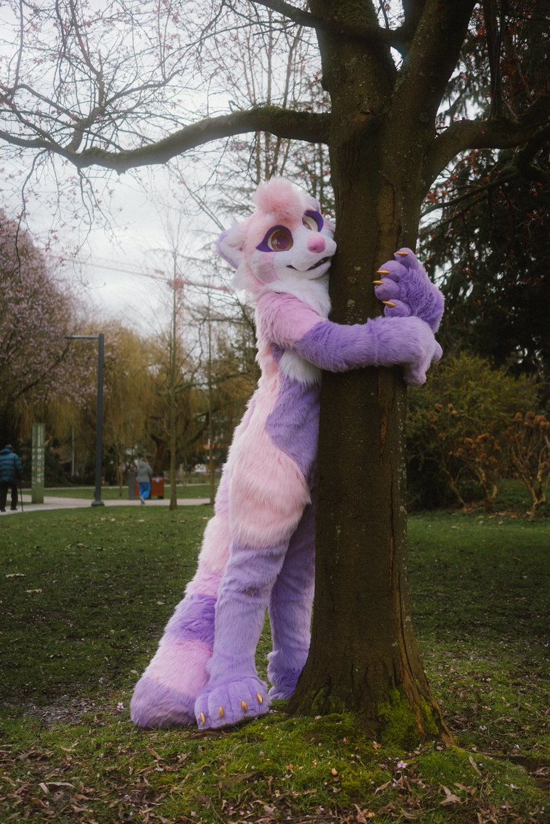 Angel 🎀 🔜 FE/LVFC tweet media