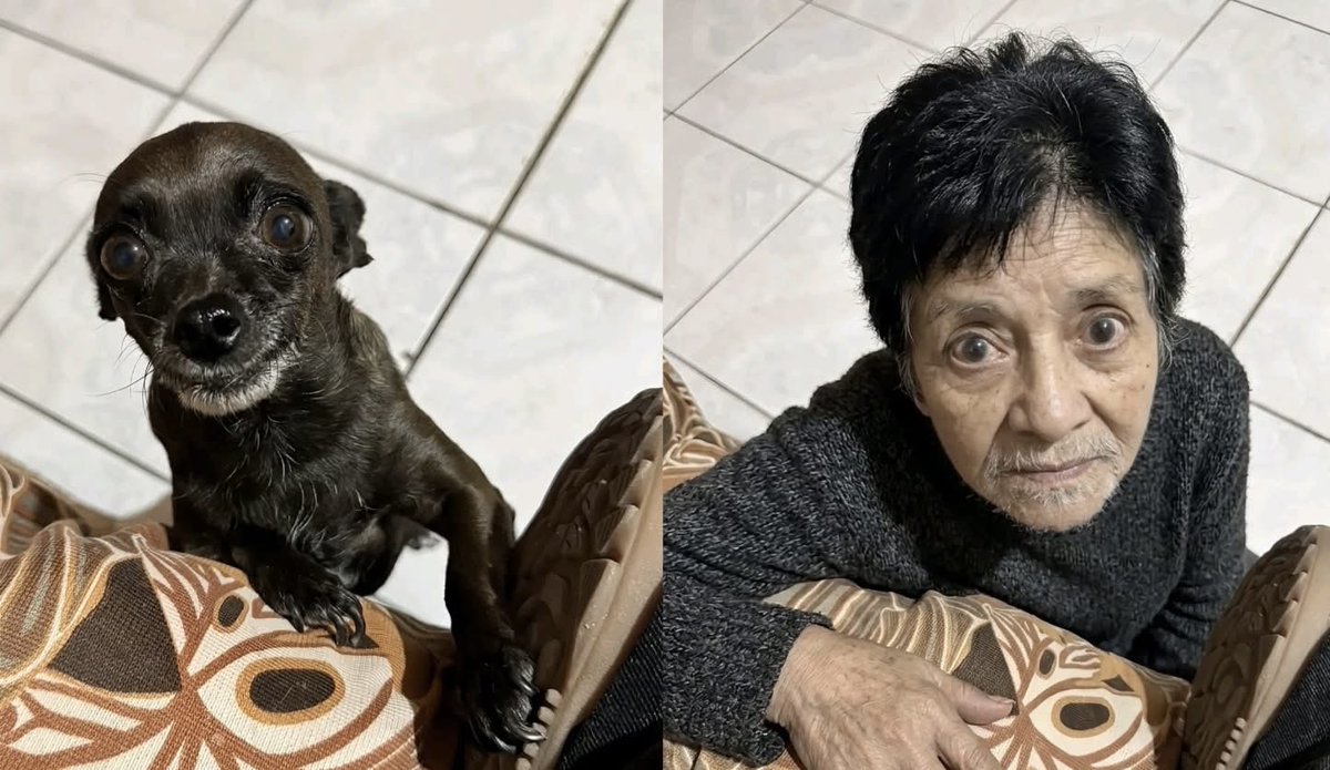 Droghiere tweet media