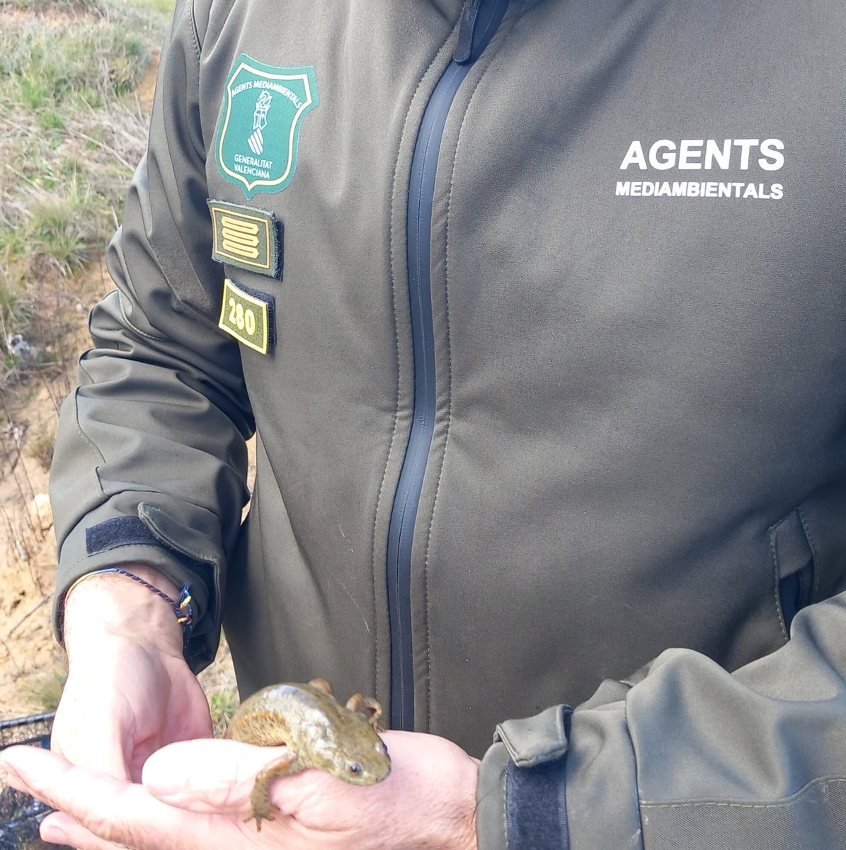 AGENTESCV tweet media