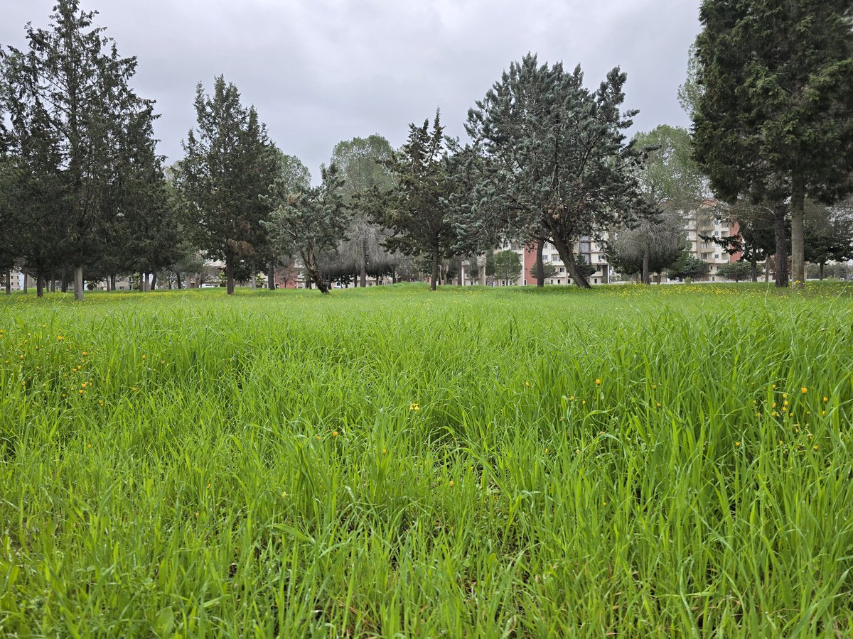 9 Yıl | 3.126. Gün

“İnsan çoğu zaman sahip olmadıklarının peşinde koşarken, sahip olduklarının kıymetini fark etmediği için mutlu olamaz.”

Ramazan ayının son pazarında,
Yaşar Kemal Yürüyüş Parkuru’nda sağlıklı yaşam yürüyüşümüzün 3.126’ncı günündeyim.

9 yıldır kesintisiz…
Her