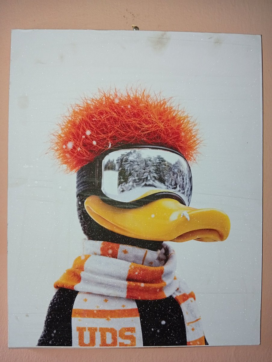 Meta Kclan tweet media