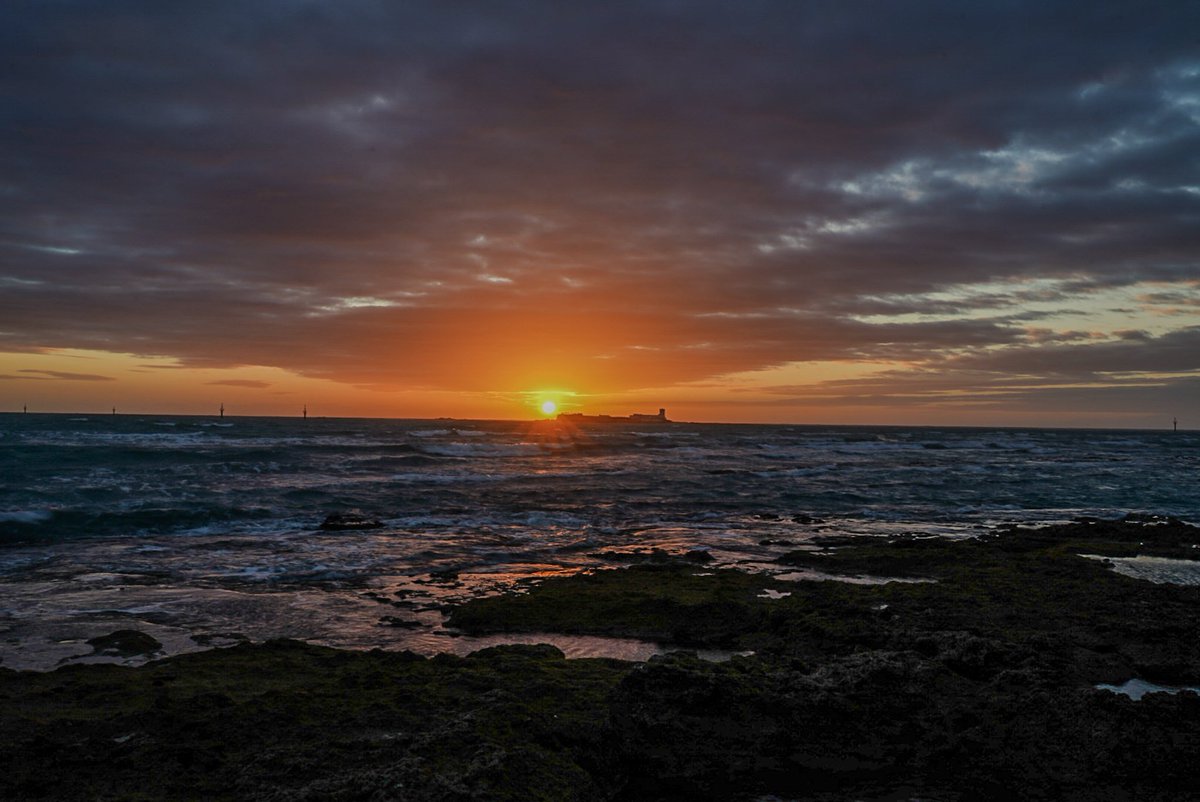 Pedro Mengual tweet media