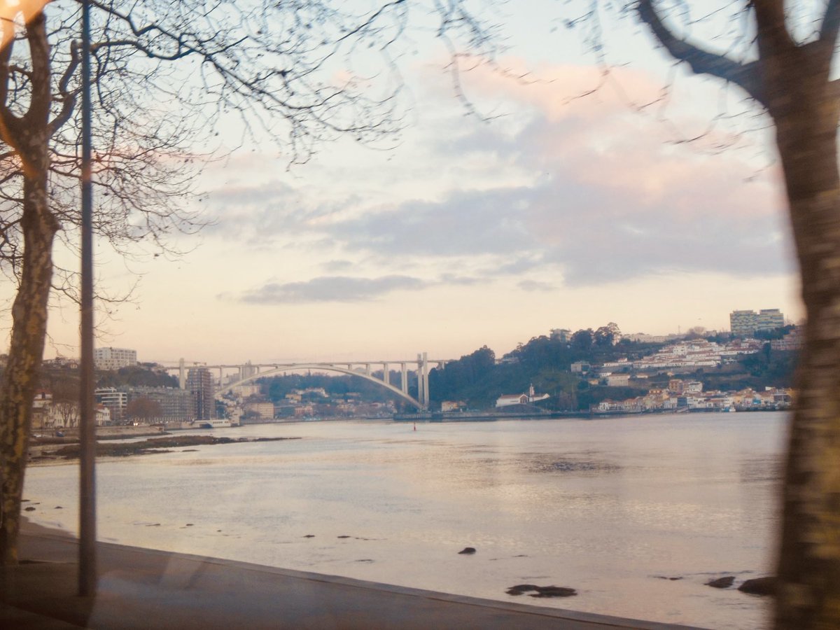 Egor Kunovsky (@egorkaway) on Twitter photo 