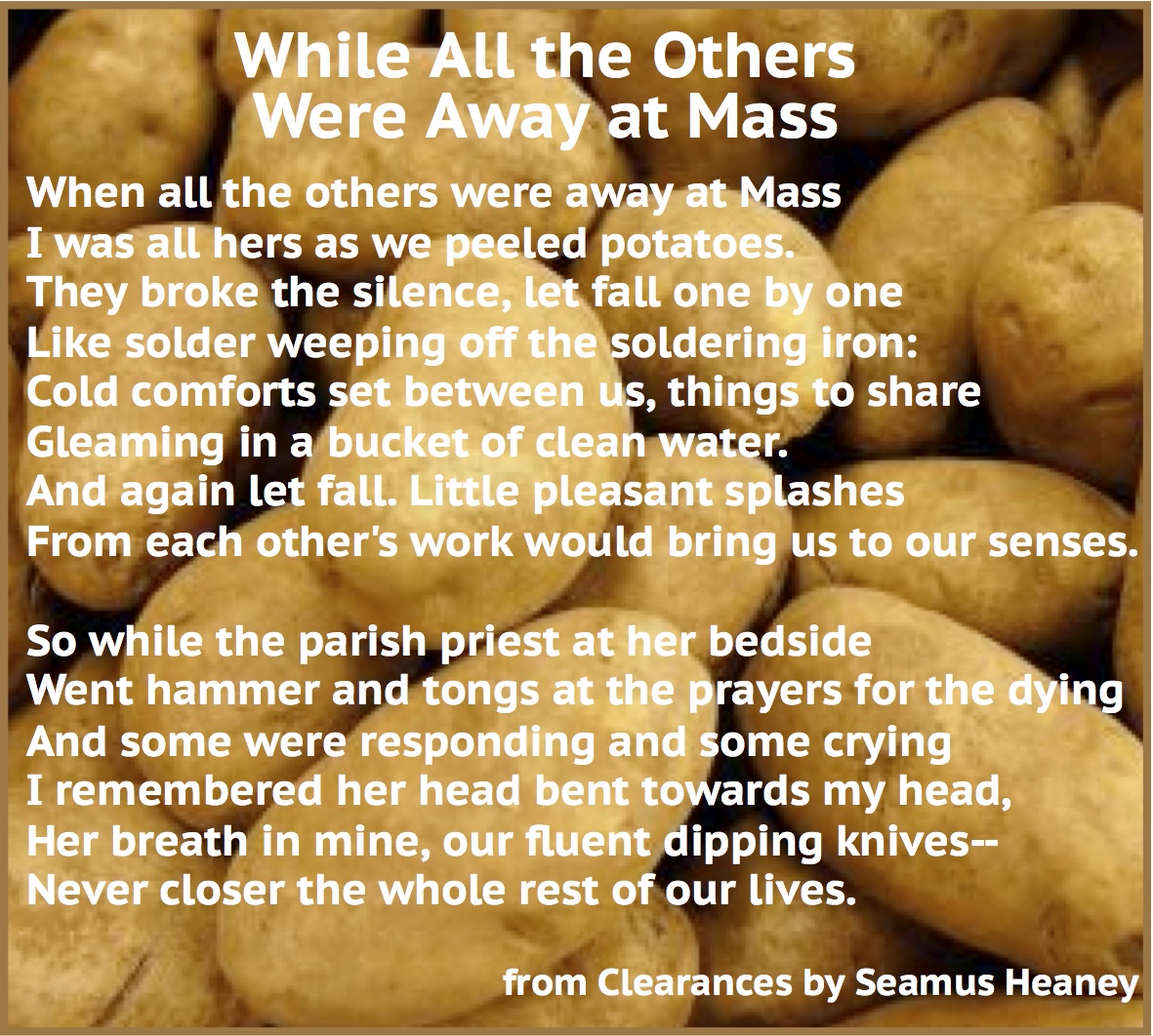 Irish History Bitesize! tweet media