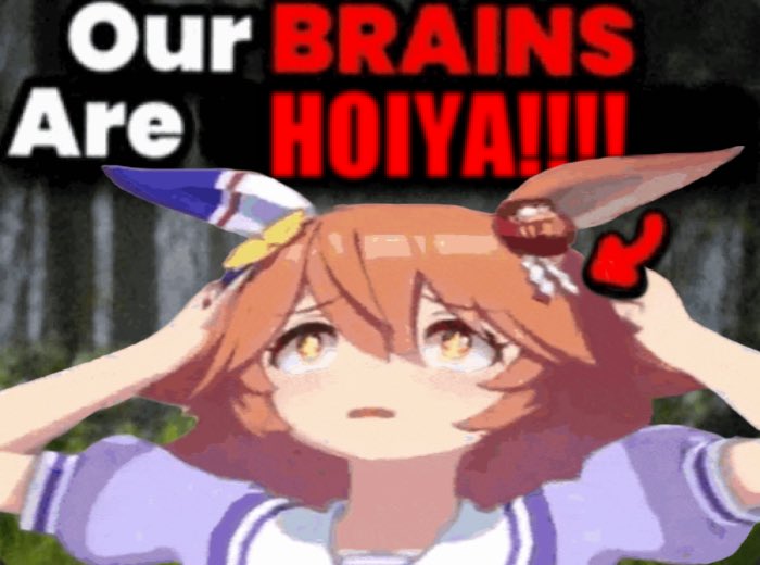 technokaeru's tweet photo. @SHIRA0KI GIVE PLS https://t.co/DzRyZpsUXW
