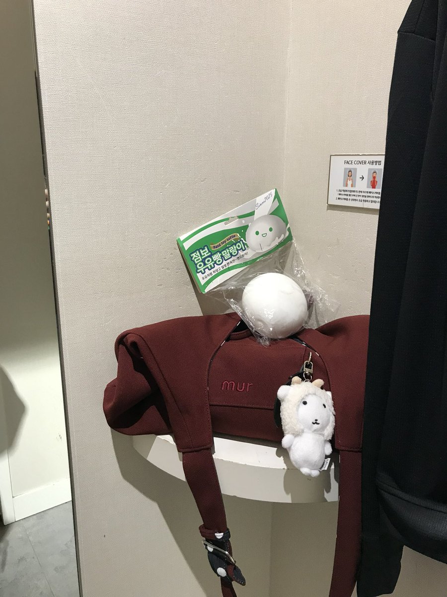 고양이 tweet media