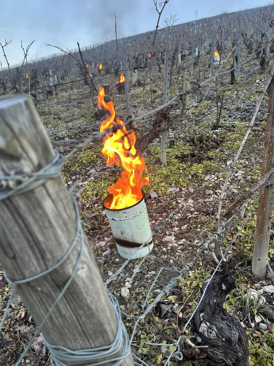 meteo_89's tweet photo. 🥶 Pour la première fois de la saison, certains domaines viticoles de #Chablis ont allumé les bougies pour faire face aux #gelées ce dimanche.

🌡️ Le thermomètre s’est abaissé jusqu’à -2/-3°C dans le secteur.

📸 D. Varin et E. Bonnin #Yonne https://t.co/x49R705WeD