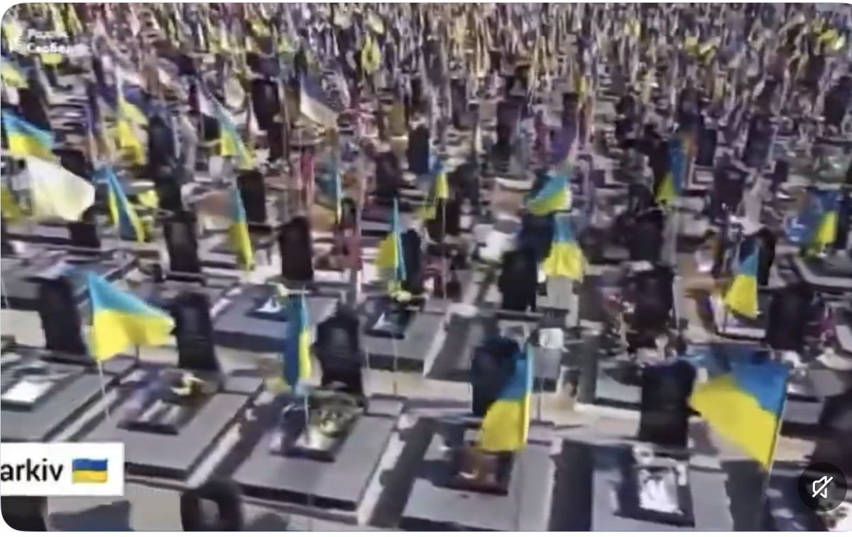 🕊️Myriam🕊️Sauvons L’humanité🕊️@CelebritesSM🕊 tweet media