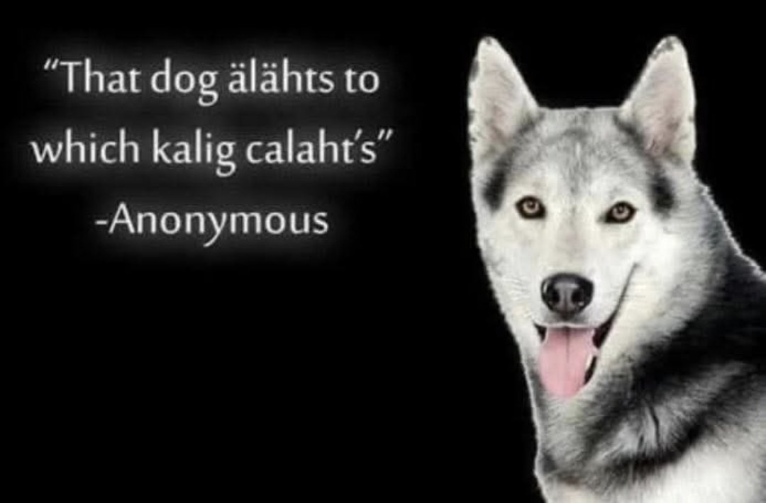 Jankke Laaksonen tweet media