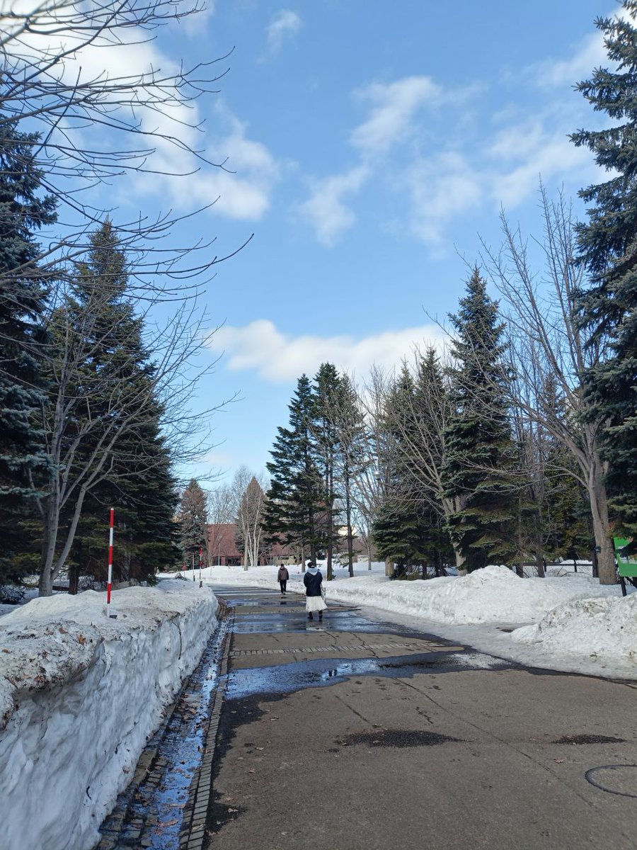 システマ札幌 / SYSTEMA SAPPORO【見学のみでも大歓迎！】 tweet media