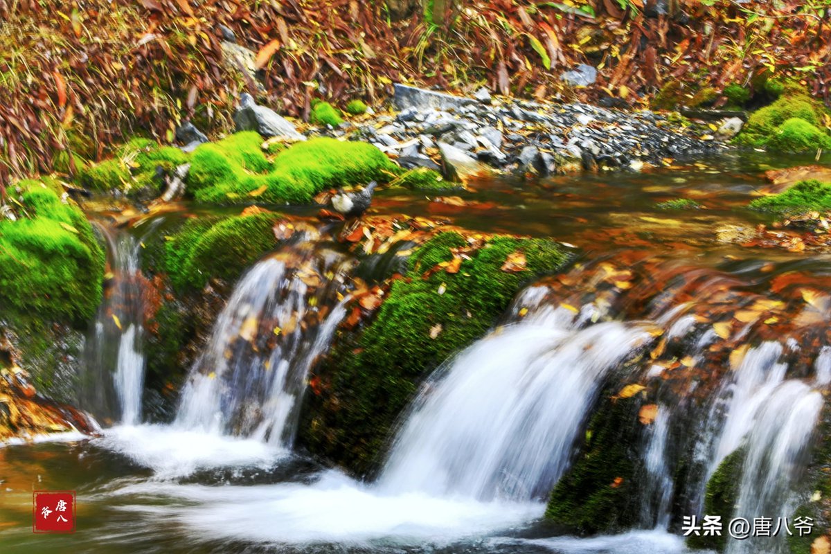 TrebcrMlr ‎. ✮ tweet media