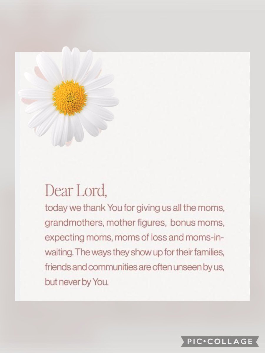 St David's RC Primary tweet media